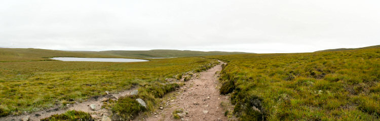 Picture of a path leading over moorland