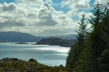 Picture of a coastline