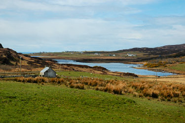 Picture of an island glen with a loch