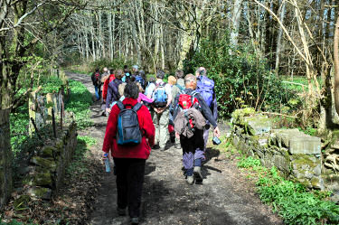 Picture of walkers on a track through some woodland