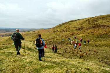 Picture of walker in an undulating landscape