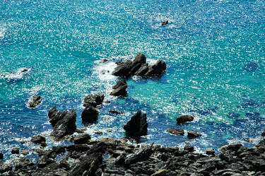 Picture of rocks in the sea glistening in the sun