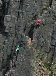 Picture of climbers on mountain cliffs