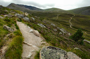 Picture of paths heading out into the mountains