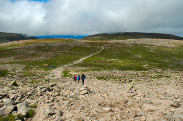 Picture of a group of walkers descending a hill