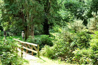 Picture of a bridge over a river through woodland, some people approaching