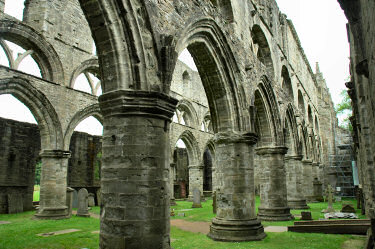 Picture of arches in the ruined nave of a cathedral