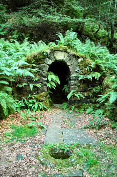 Picture of a well, partly overgrown