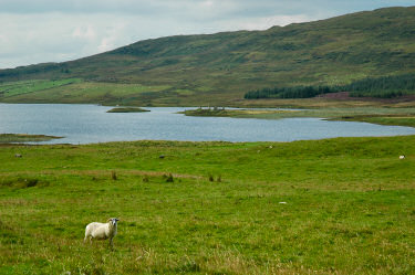 Picture of two small islands with ruins of houses in a loch (lake)