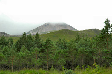 Picture of a cloud covered mountain behind some trees