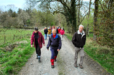 Picture of walkers on a track near a wood