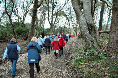 Picture of a group of walkers walking on a newly created track through some woods