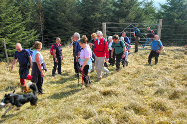 Picture of a group of walkers near a gate, dogs running out of the picture