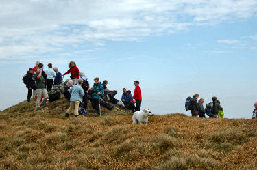 Picture of several people and a dog at the summit of a hill