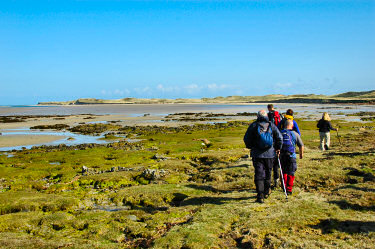 Picture of a group of walkers approaching a beach