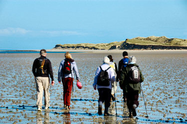 Picture of 6 walkers approaching dunes behind a beach