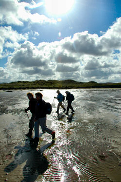 Picture of the silhouttes of walkers against the sun on a beach