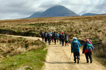 Picture of a group of walkers on a track, mountains in the background