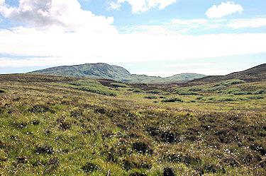 Picture of a view over a heather covered landscape towards a hill