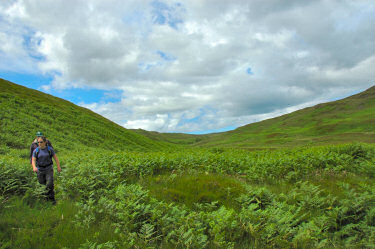 Picture of a view up a glen