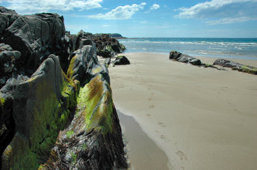 Picture of nicely shaped rocks on a beach