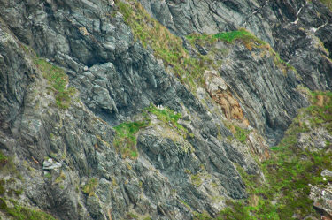 Picture of a cliff face