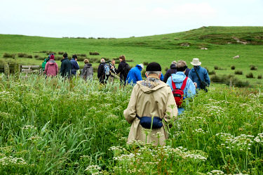 Picture of a group of walkers making their way through some high vegetation