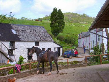 Picture of the yard at the riding centre