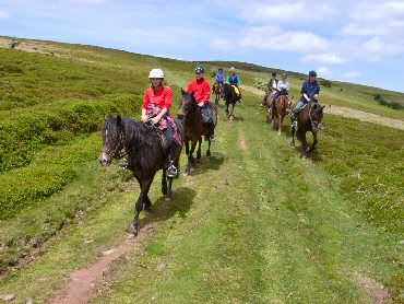 Picture of the group under way on their horses