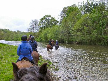 Picture of horses crossing a river