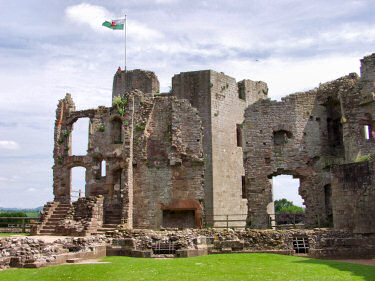 Picture of the ruins of the castle, Great Tower in the background
