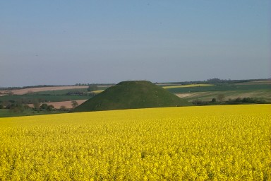 Silbury Hill behind a field of rapeseed