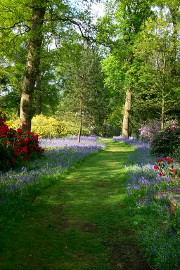 Beautiful path