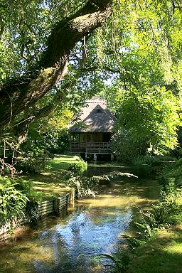 The Japanese Tea House in Heale Garden
