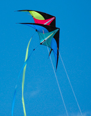 Picture of two kites