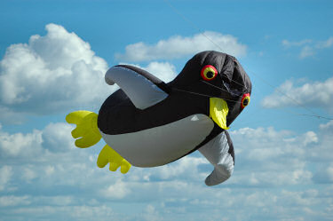 Picture of a kite in the shape of a penguin