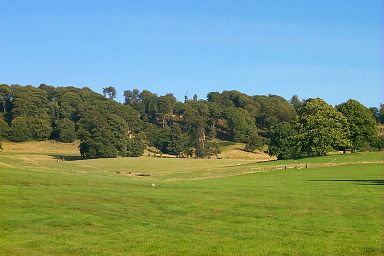 In the grounds of Longleat