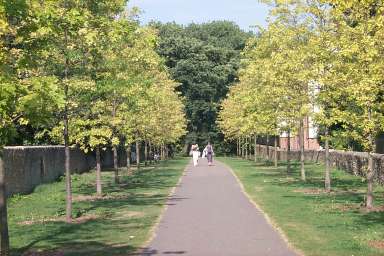 Picture of the entrance to The Lawn