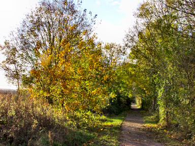 Picture of the old railtrack in Swindon