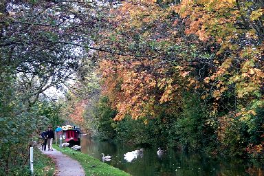 Picture of a canal with moored canal boats