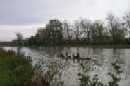 Picture of rowing in Oxford