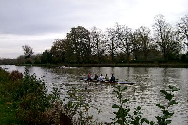 Picture of rowers on a river