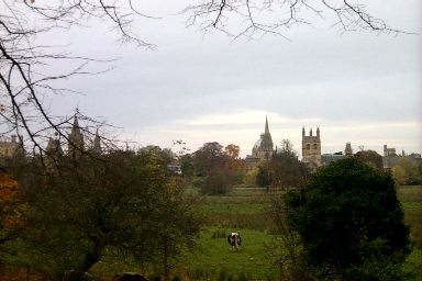 Picture of spires seen over a meadows