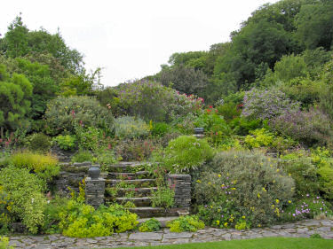Picture of a rock garden with lots of flowers on a wall