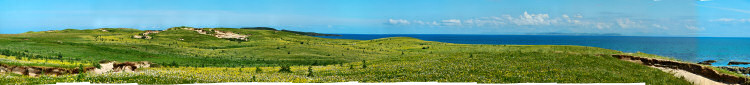 Picture of a panoramic view over a machair with lots of flowers